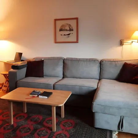 Moesli - Zimmerli Appartement-fewo- Dusche Oder Bad- Wc 2-bettwohnung By Interhome * Zweisimmen